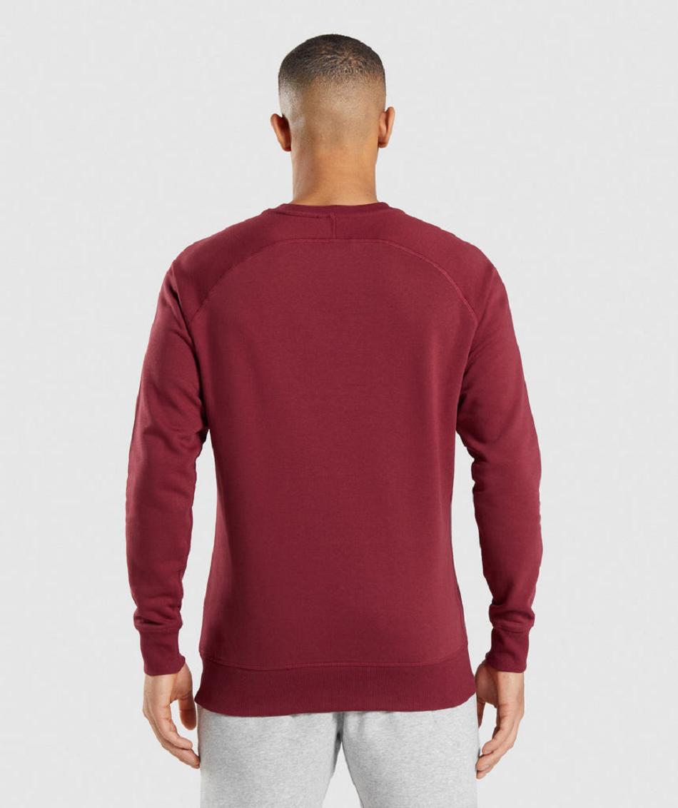 Correr Con Capucha Gymshark Crest Sweatshirt Hombre Burdeos Rojas | CO 3667FDN